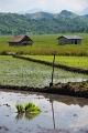 Labuhan Bajo - Bajawa 'On The Road' (43)